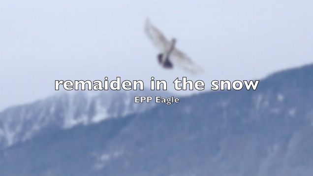 EPP Eagle remaiden in the snow