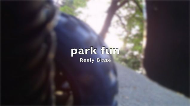 Reely Blaze park fun