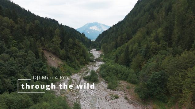 through the wild - DJI Mini 4 Pro #djicinematic #djimini4pro #dji