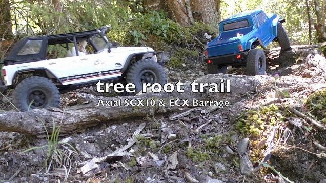Axial SCX10 & ECX Barrage - tree root trail