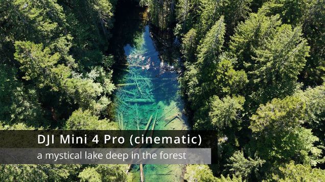a mystical lake deep in the forest - DJI Mini 4 Pro cinematic #djimini4pro #djicinematic #hiddenlake
