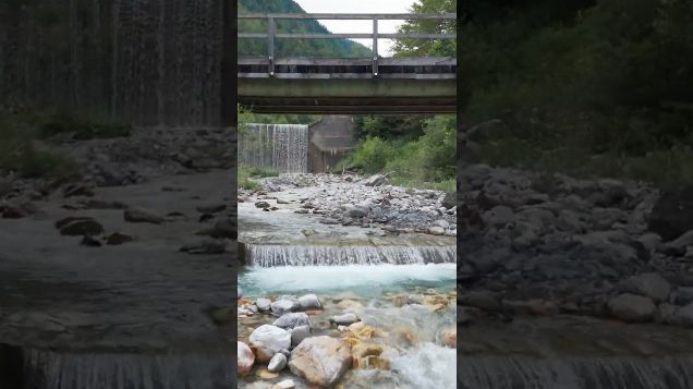 through the wild01 - DJI Mini 4 Pro #djicinematic #djimini4pro #dji