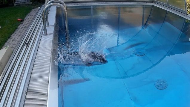 LaTrax Teton - Into the blue