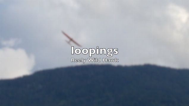 Reely Wild Hawk - loopings