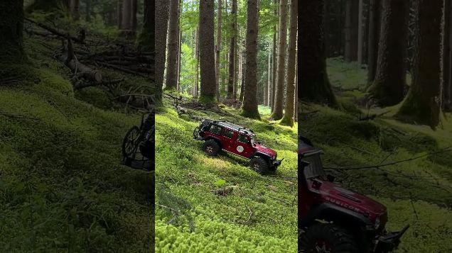 moss trail02- Absima Sherpa Pro #absimasherpa #yk4102 #absima