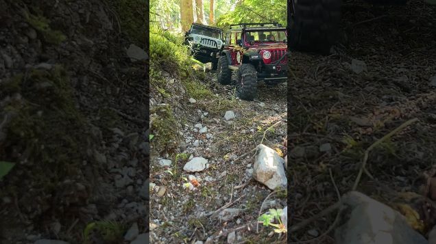 rubicontrail - Absima SherpaPro & Axial SCX10 Jeep Wrangler #absimasherpa #axialscx10 #rubicontrail