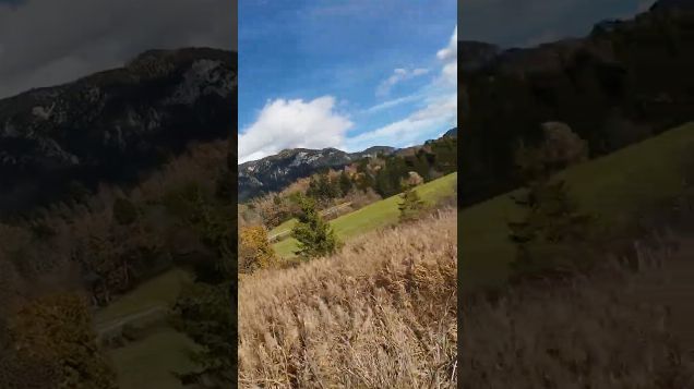 FPV adventure: autumn colours02 - DJI Avata 2 #dji #fpv #avata2