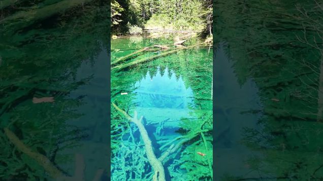 a mystical lake deep in the forest01 - DJI Mini 4 Pro #djicinematic #djimini4pro #hiddenlake