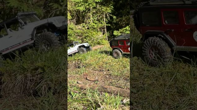 rubicontrail03 - Absima Sherpa Pro & Axial SCX10 Jeep Wrangler #axialscx10 #absimasherpa #axial