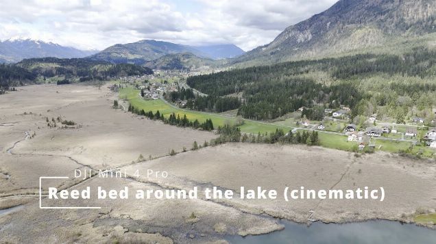 reed bed around the lake (cinematic) - DJI Mini 4 Pro