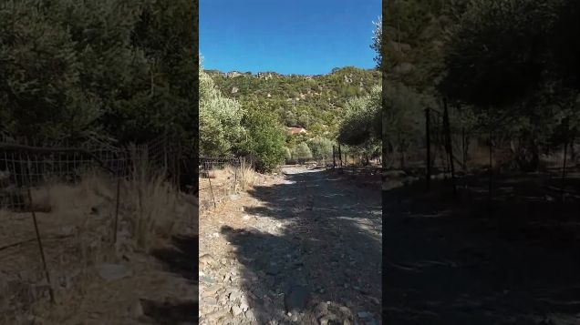 FPV flight through the olive trees - DJI Avata 2 #fpvdrone #djifpv #avata2