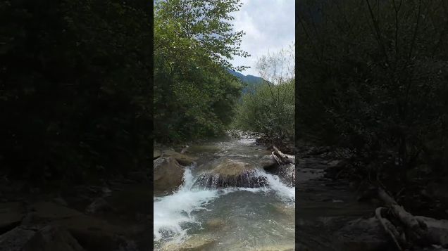 FPV adventure, from stream to river01 - DJI Avata 2 2 #dji #avata2 #fpv