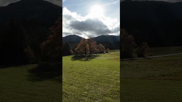 FPV adventure: autumn colours03 - DJI Avata 2 #dji #fpv #avata2
