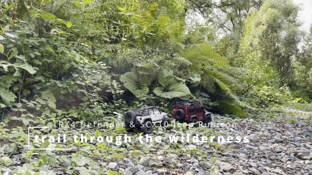trail through the wilderness - Traxxas Defender TRX4 & Axial SCX10