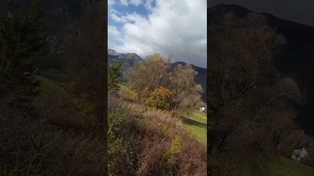 FPV adventure: autumn colours01 - DJI Avata 2 #dji #fpv #avata2