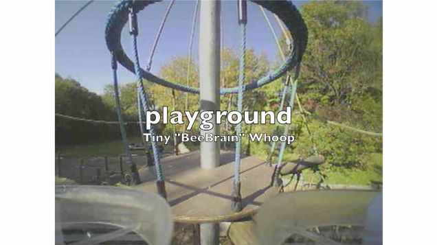 Tiny "BeeBrain" Whoop - playground