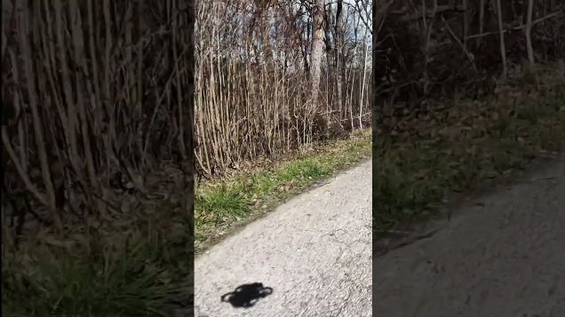 flying shadow #avata2