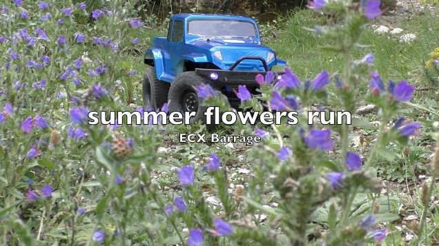 ECX Barrage - summer flowers run