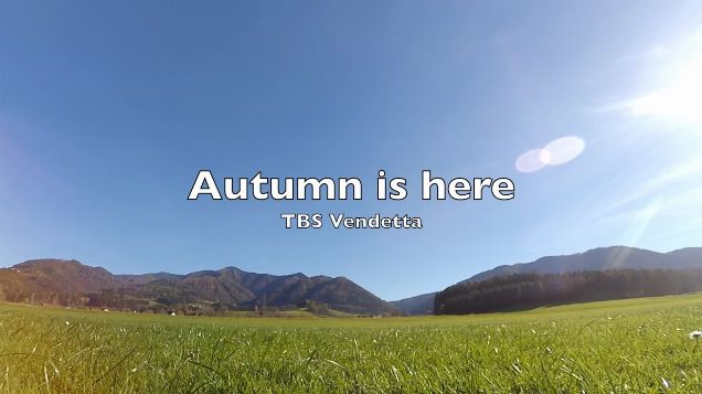 TBS Vendetta - Autumn is here