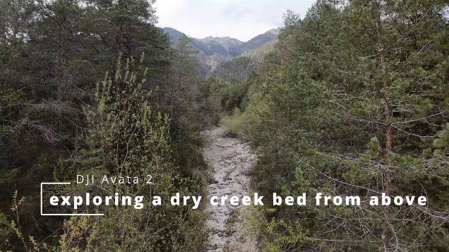 exploring a dry creek bed from above - DJI Avata 2