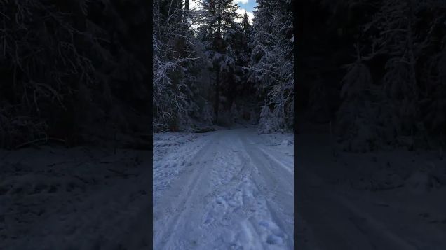 FPV snow covered forest and haystacks01 - DJI Avata 2