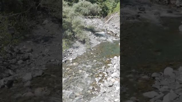 follow the creek - DJI Mini 4 Pro #djimini4pro #djicinematic #nature