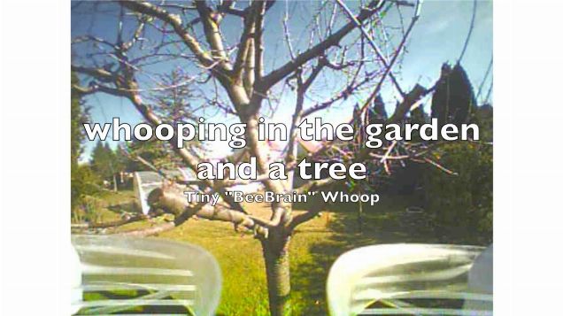 Tiny "BeeBrain" Whoop - whooping in the garden and a tree