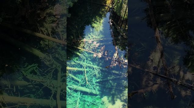 a mystical lake deep in the forest04 - DJI Mini 4 Pro #djicinematic #djimini4pro #hiddenlake