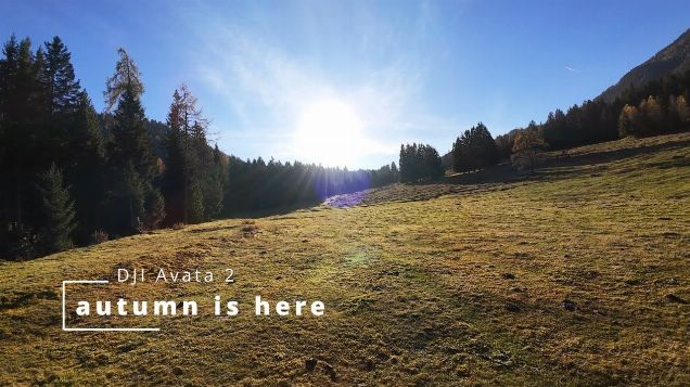 autumn is here - DJI Avata 2