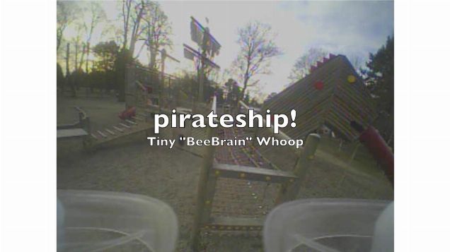Tiny "BeeBrain" Whoop - pirateship!