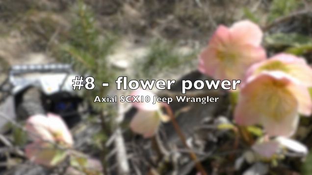 Axial SCX10 Jeep Wrangler - #8 - flower power