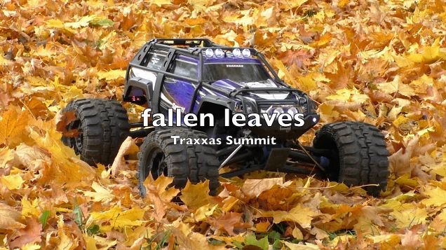 Traxxas Summit - fallen leaves