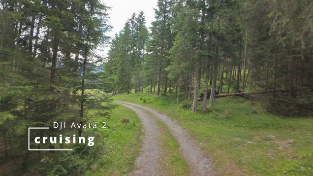 cruising - DJI Avata 2