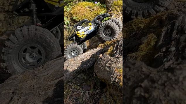 dancing on the roots - Axial Capra #utb18 #axialcapra #crawler4ws