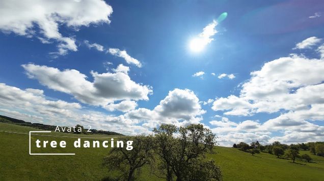 tree dancing - DJI Avata 2