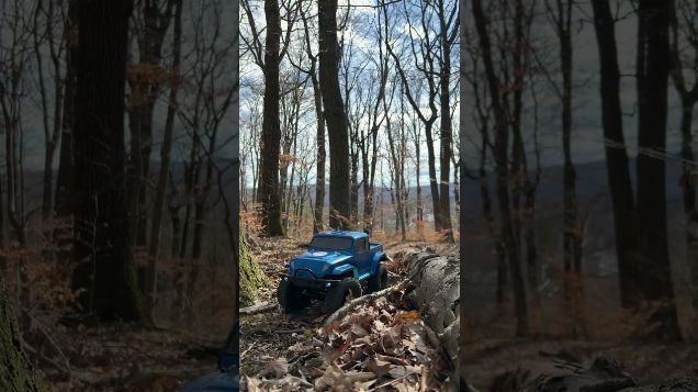 around the tree - ECX Barrage #ECX #barrage #rccar