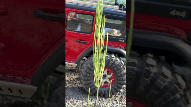 Welcome to the RC Family! - Absima Sherpa Pro #absima #absimasherpa #yk4102