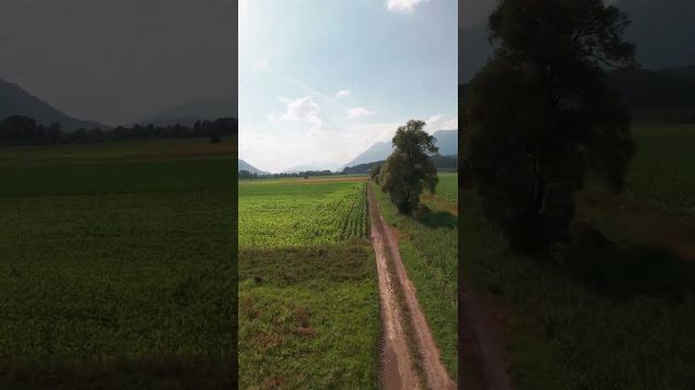 letting the soul float03 - DJI Avata 2 #dji #avata2 #djifpv